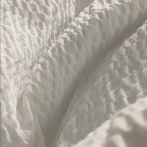 Meet your Posher, Sandro jr